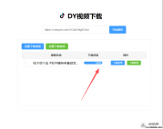 抖音视频音频下载器-下载工具