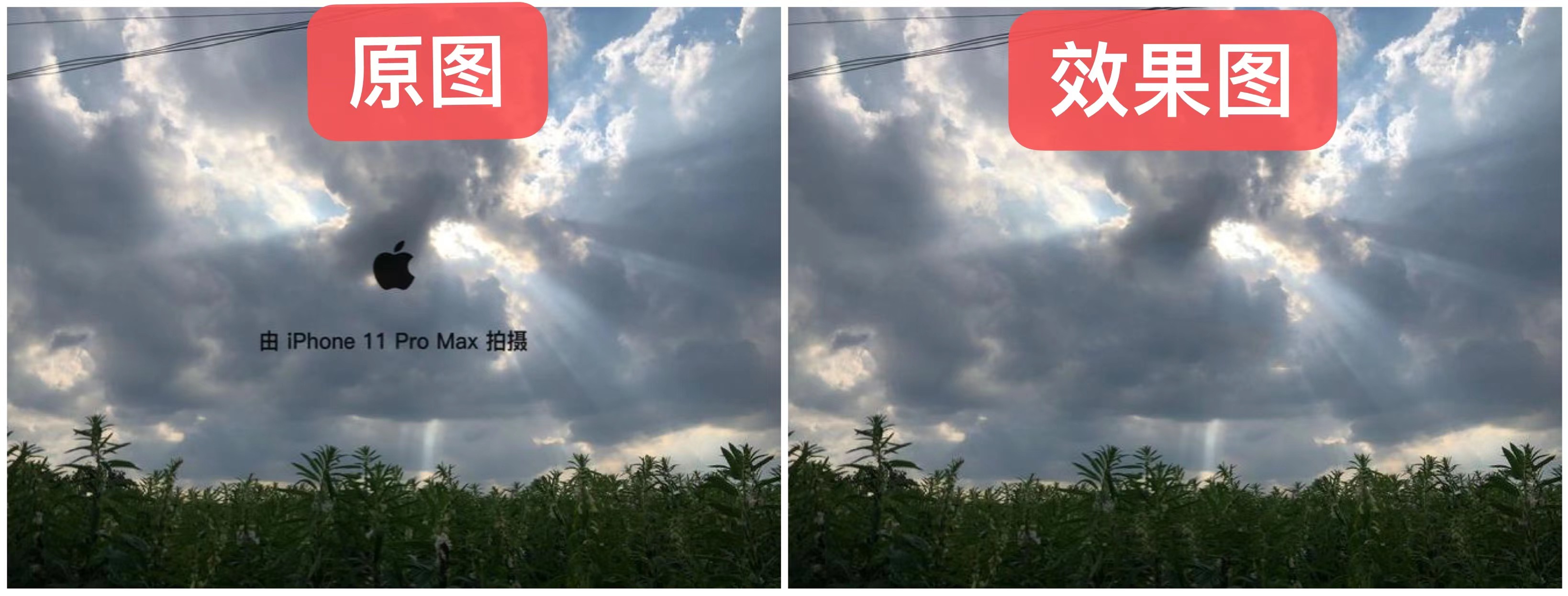 原图VS效果图.jpg